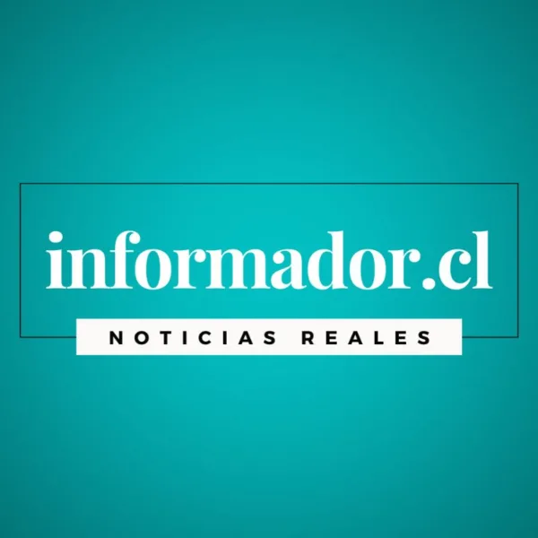 Emprendimiento Textil en Chile: Oportunidades y Desafíos